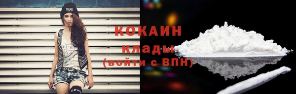 mdpv Новодвинск