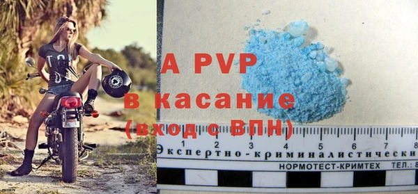 прущие крисы Новозыбков