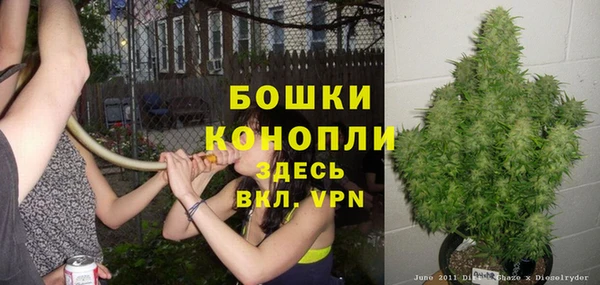 мдпв Няндома