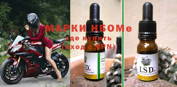 прущие крисы Новозыбков