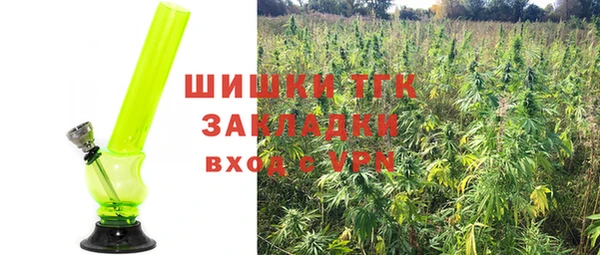 прущие крисы Новозыбков