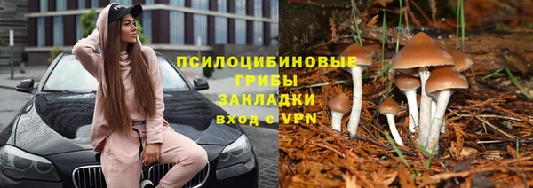 прущие крисы Новозыбков
