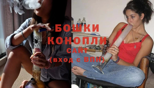 прущие крисы Новозыбков