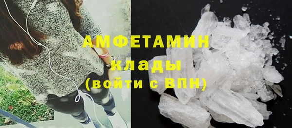 прущие крисы Новозыбков