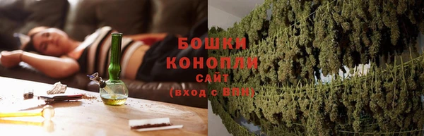 прущие крисы Новозыбков