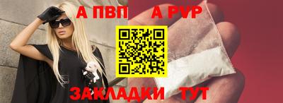 прущие грибы Усть-Джегута