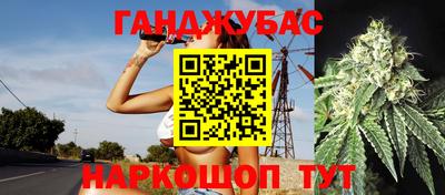 прущие грибы Усть-Джегута