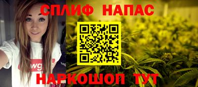 прущие грибы Усть-Джегута