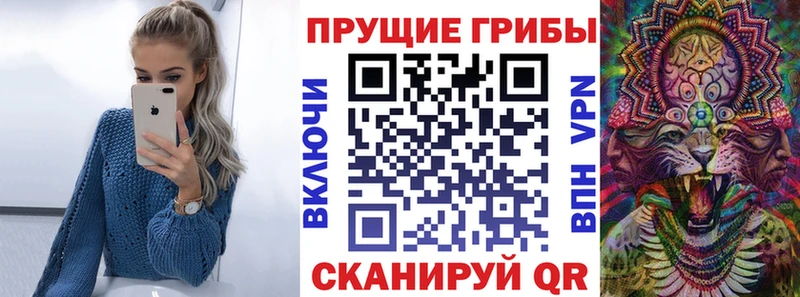 гидра   Снежинск  Галлюциногенные грибы Psilocybe  магазин продажи наркотиков 
