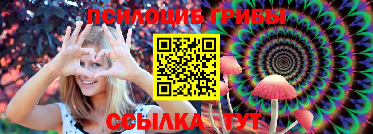 Псилоцибиновые грибы MAGIC MUSHROOMS  Вход с VPN  Снежинск  Галлюциногенные грибы Cubensis 